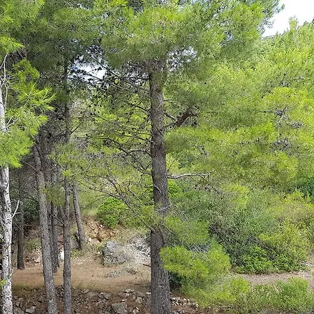 Lägenhet Vila Una *