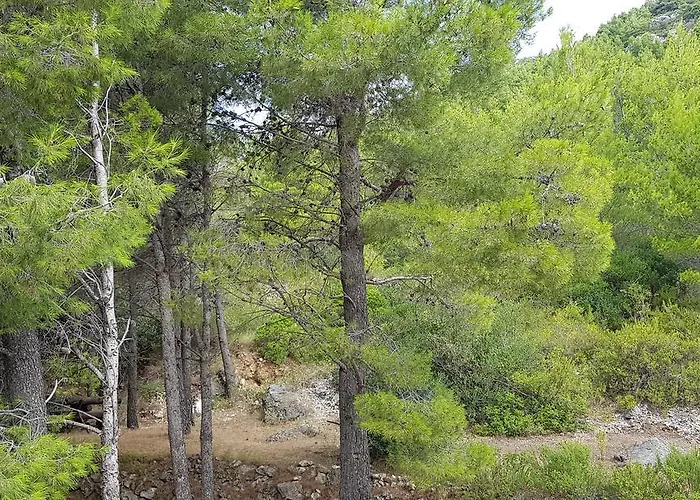 Apartament Vila Una *