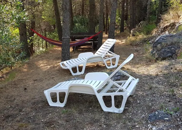 Apartament Vila Una *